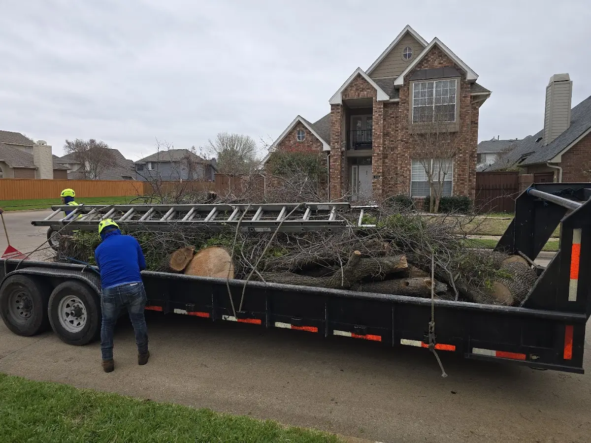 Expert Tree Fertilization with proper safety equipment in Bayard